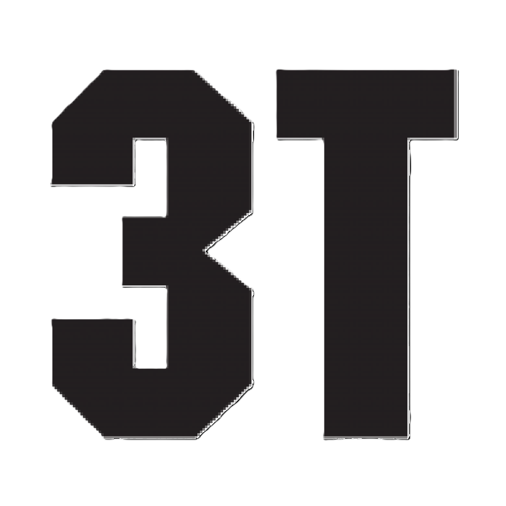 3T